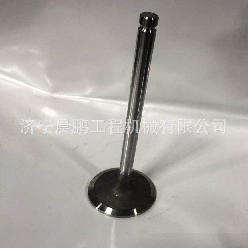 山工徐工龙工柳工山推30 50 60装载机铲车发动机进排气门配套件