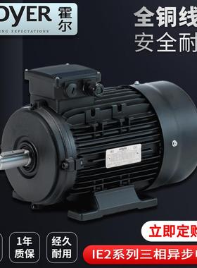 意大利HOYER MOTOR霍尔三相异步铝壳电动机IE2工业马达MS90S-4