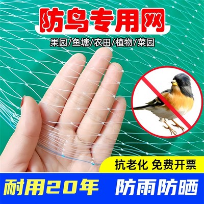 防止鸟吃果子的网果树鸟防护网果园种植蓝莓养鸡防鸟网防乌果树网