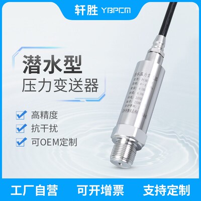 PCM300Y 潜水型压力变送器 4-20mA/RS485 IP68压力变送器 传感器