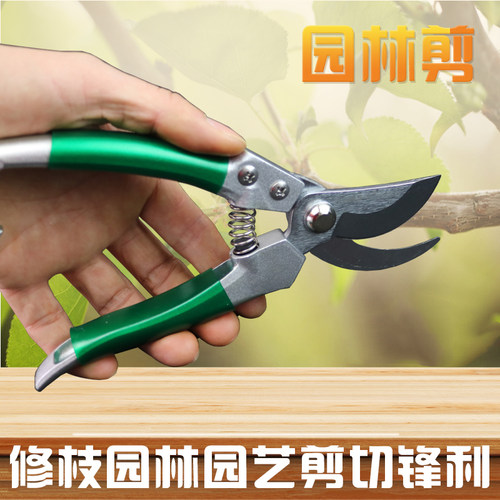 汉斯修剪树枝剪刀园林剪园艺工具多功能家用粗枝果树植物修花枝剪