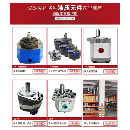 液压齿轮泵BB-B10/4/6/16/25/40/50/63/80/100/125Y/油泵配件大全