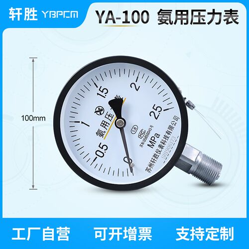 YA100 2.5MPa 管道式氨气压力表 氨用分解炉压力表 苏州轩胜