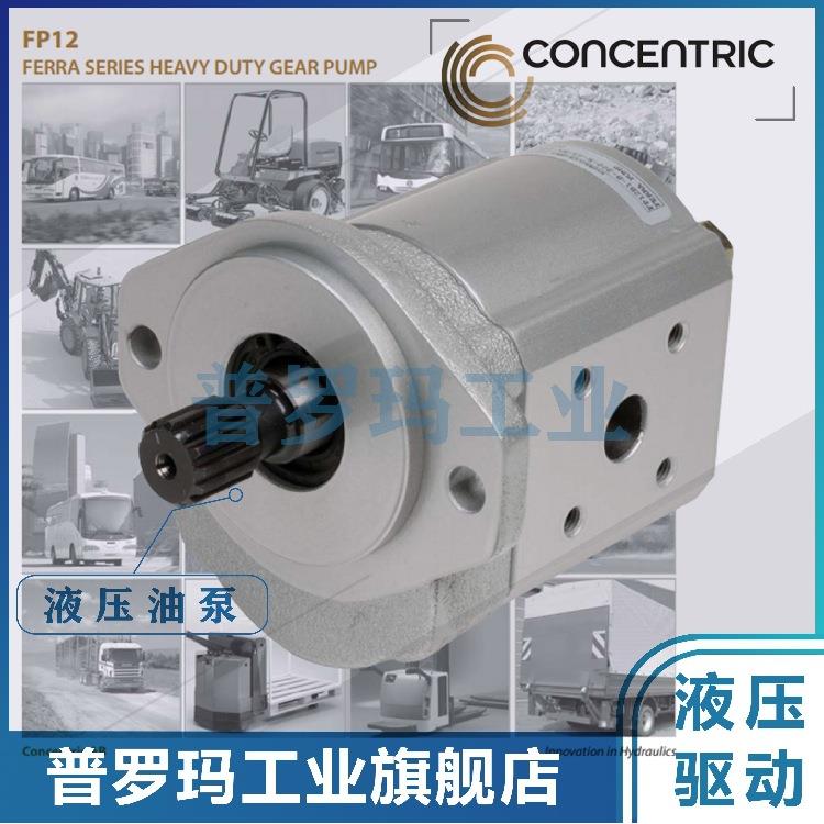 德国CONCENTRIC齿轮泵WP15A1B440R14RB151N WP15A1B500R14RB151N