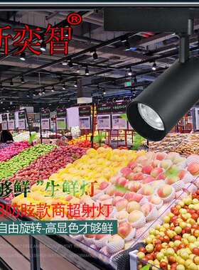 led生鲜灯超市射灯蔬菜灯猪肉灯鲜肉熟食水果灯COB深防眩轨道射灯