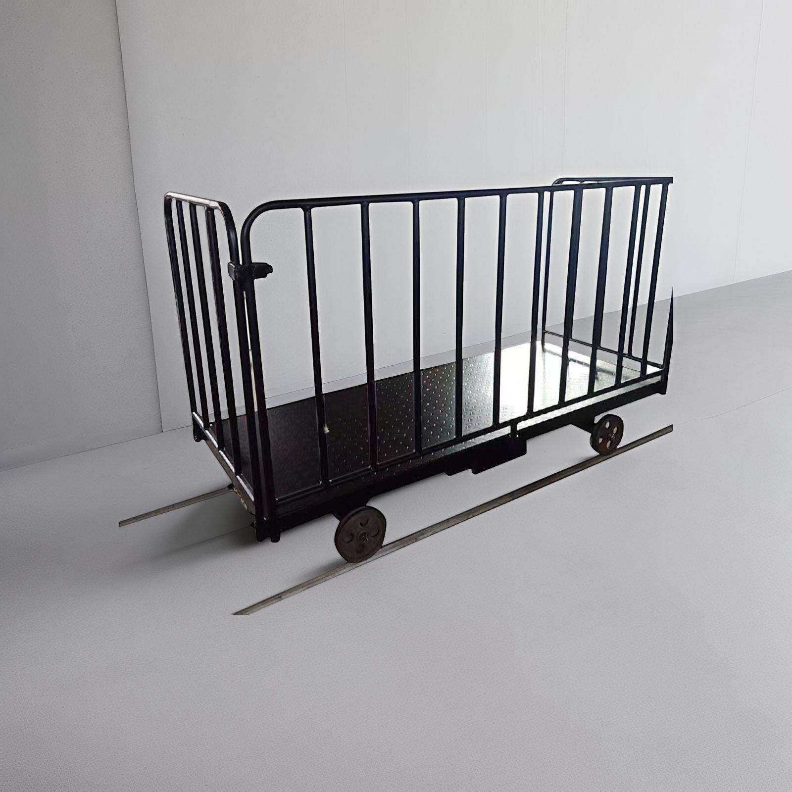 有轨电动搬运车 大棚采摘护栏双层轨道运输车围栏轨道车静音