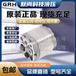 上海国瑞GRH齿轮泵Groupo液压泵0PF0.16L07B01 0PF0.25L07B01油泵