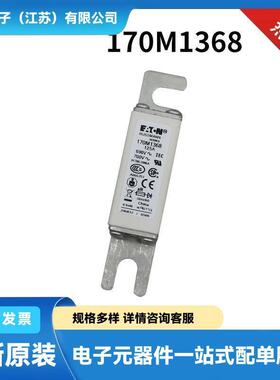 170M7517 170M7520 170M7521 170M7531原盒快速熔断器 熔芯