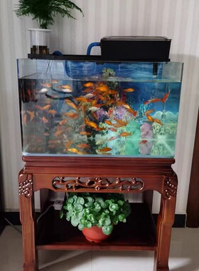 全实木奇石架超承重型盆景架鱼缸架室内客厅落Q地式花架置物架边