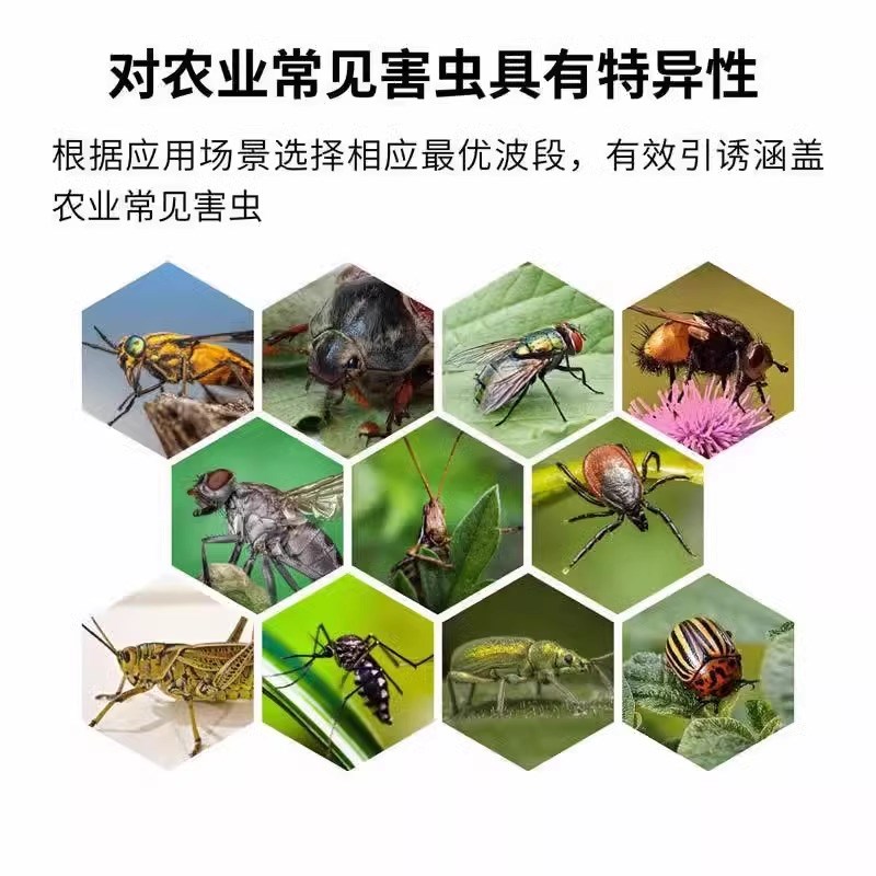 鱼塘太阳能诱虫灯养殖专用喂鱼神器户外庭院鱼池引虫灯灭杀小飞虫
