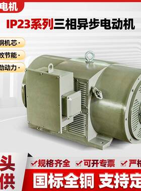 IP23系列三相异步电动机