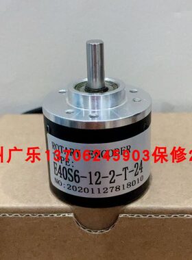 S6  C----50-- E.E--E256M8-24040ST40C232496A1-M560G1H60260BR