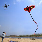 蝙蝠大人初学者儿童风筝微风高档年大型飞易2022专用小号风筝新款