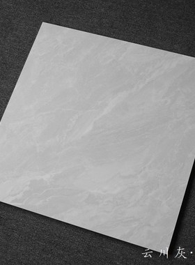 微水泥灰色瓷砖600x600客厅地砖仿古砖800x80R0厨房卫生间哑光墙