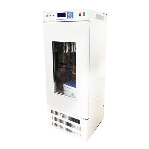 LY-250B细菌培养箱 微生物培养箱 恒温恒湿动植物培养箱