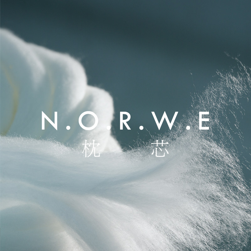 枕芯pp棉羽h丝绒支撑可拆洗抱枕芯靠垫腰枕精梳磨毛面料简约纯色