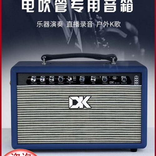 DK电吹管音箱专用iE-35自带收发器充电内录直播蓝牙街头弹唱音响