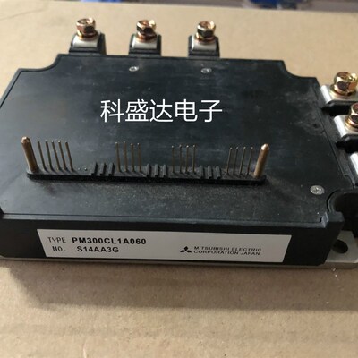 PM300RL1A060 PM300RLA060 PM300CLA0M60 PM300CL1A060