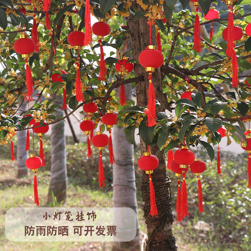 过年装饰小灯笼挂饰树上挂件防水防晒喜庆结婚新年节日福字红灯笼