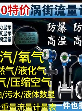 蒸汽涡街流量计量表管道流量差防爆瓦斯氧气压缩空气液体水油污