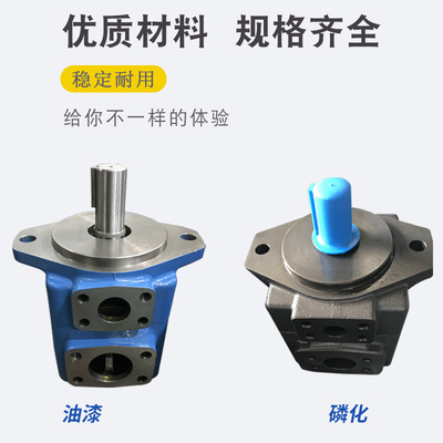 2520V双联3525V威格士型4535V叶片油泵20V3A-1A B C-22R 25V10A14