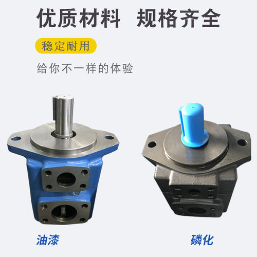 2520V双联3525V威格士型4535V叶片油泵20V3A-1A B C-22R 25V10A14