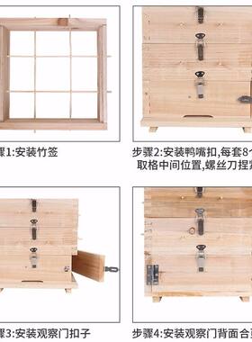 德国进口蜜蜂箱子中蜂格子箱杉木箱子蜜蜂蜂箱养蜂工具内径27.5cm