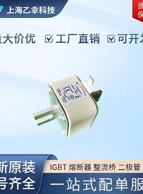 巴斯曼熔断器 170M6103 170M6108 170M6109 170M6110 170M6111