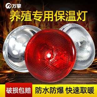 保温灯养殖场专用小鸡育雏取暖灯养猪场用保暖灯烤灯加热取暖灯泡