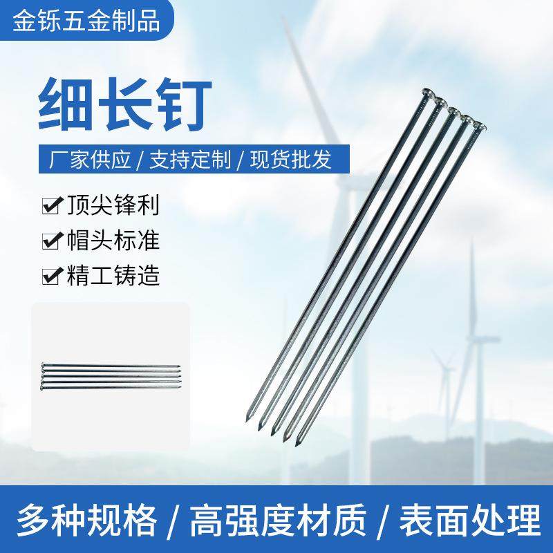 小铁钉家用细钉子大圆钉洋钉木工长钉墙钉粗钉铁丁羊钉木头板加长