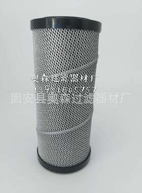 SF250M90 SF250M25混凝土泵车滤芯HY18869