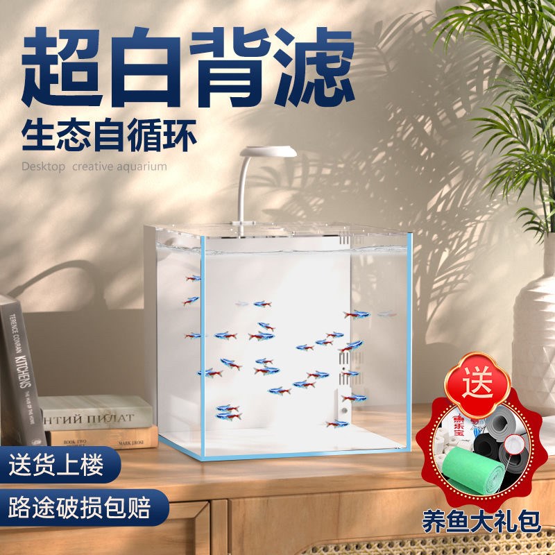 背滤小海缸鱼缸小型客厅家用桌面超白玻璃免换水造景生态鱼缸海水
