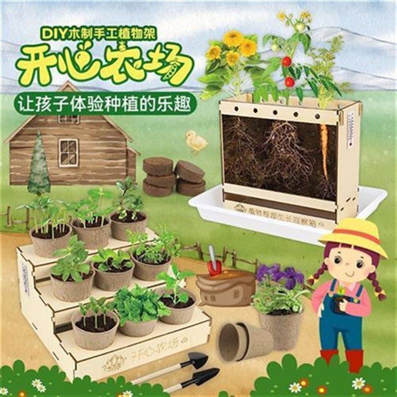 阳光房开心农场过家家儿童节农场栽培儿童礼物植物阶梯种植架学生