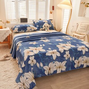 礼礼法披肩学生加VOO8566厚销单幼儿纯素毛厚毯床厂礼品毛毯外季