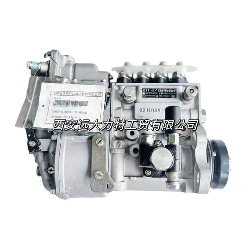 原装燃油泵4P101 G0800-1111050E-172 P7100/4TCP12用于玉柴41