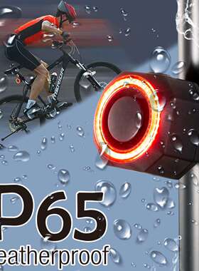 Bike Alarm Tail Light with Remote Rechargeable 700mAh