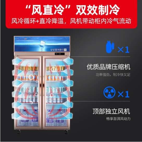 星星展示柜冷藏双门饮料冰柜商用便利店超市大容量立式啤酒保鲜柜