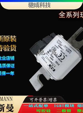 巴斯曼170M5280 170M5281 170M5282 厂家直供零售 伊顿熔断器