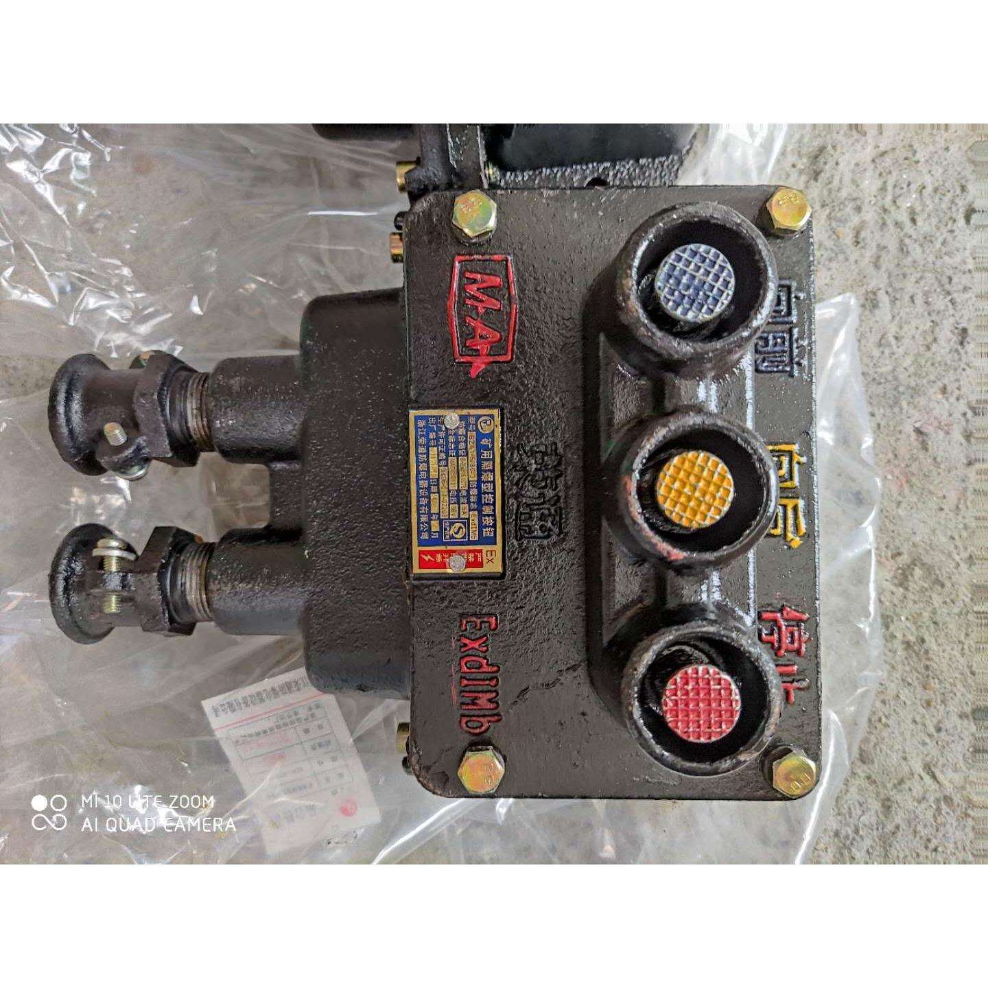 ZXF8050 系列防爆防腐主令控制器(ⅡC) 防爆防腐防水箱