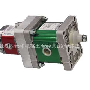 VIVOIL VIVOLO维沃尔意大利高压齿轮泵X2P4901EOOA X2P5101EOOA