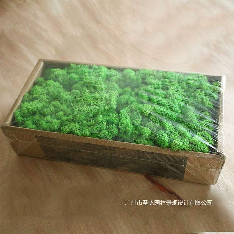 特色仿真青苔植物墙餐厅墙体永生青苔绿植墙装饰 仿真阻燃植物墙