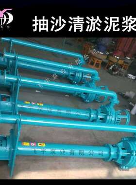 NSL NYL立式泥沙泵 耐磨清淤泥浆泵 搅拌式液下杂质泵抽沙泵