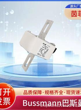 熔断器170M6768 170M6769 170M6770 170M6771 170M6700 170M6701