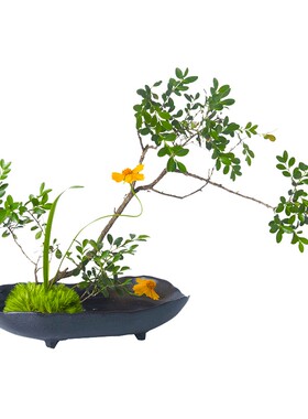 陶瓷花盘黑色不规则花器中式禅意插花器皿剑山插花器方形船型日式