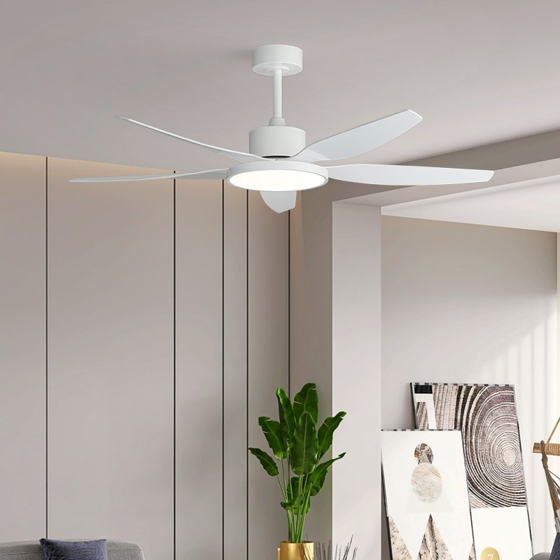 餐厅风扇灯2024新款北欧简约现代客厅卧室家用静音电风扇吊灯具