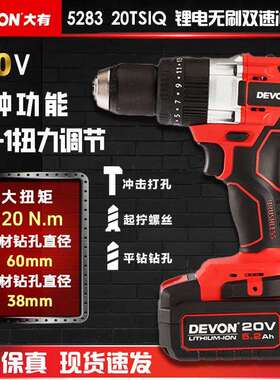 大有（Devon）20V工业级无刷双速锂电钻冲击钻5283充电手电钻起子