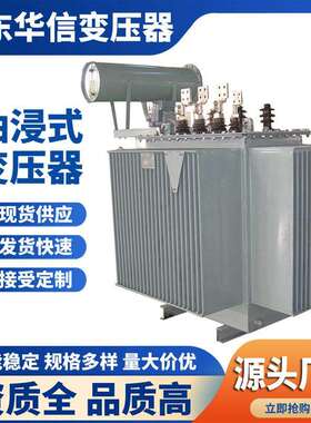 S20-250KVA/10KV油浸式变压器 铜材质
