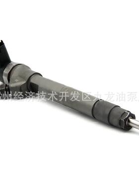 0445110433 电喷共轨喷油器 喷油嘴总成 0 445 110 433