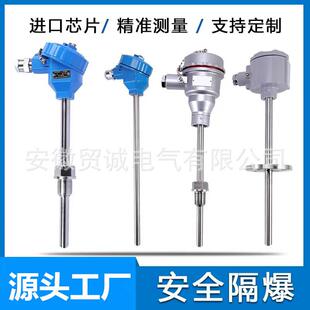 供应WZPK2-596铠装热电阻pt100 -200~500（℃）A/B级 热工仪表