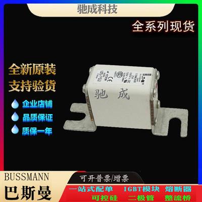 巴斯曼170M2057 170M2608 170M2609 厂家供货优价供应 方体熔断器